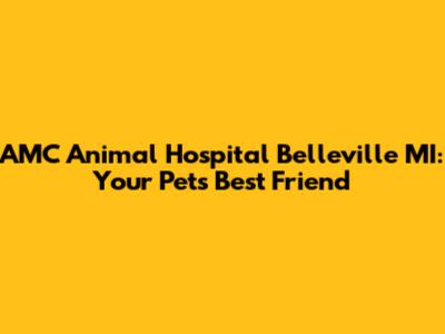 AMC Animal Hospital Belleville MI: Your Pet's Best Friend