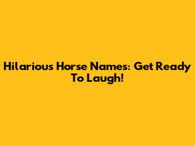 Hilarious Horse Names: Get Ready To Laugh!